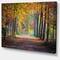 Designart - Wide Pathway in Yellow Fall Forest - Landscape Photography Canvas Print